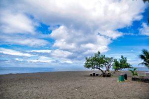 A remote tree on the edge of Tahiti