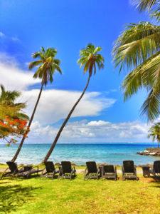 Palm trees in Tahiti